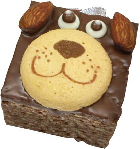 }V[&NXs[@NXs[P[L }CEu[EhbO@hV̓