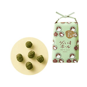 {[@ZF̂{[@45g@hV̓@Mtg