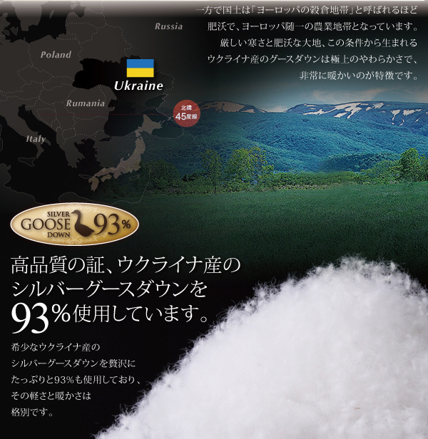物品 羽根布団 日本製ウクライナ産グースダウン93% ロイヤルゴールド 