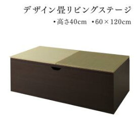 【楽天マラソン限定★最大1500円クーポン】リビング収納 チェスト キャビネット タンス テレビ台 日本製 収納付きデザイン畳リビングステージ 畳ボックス収納 60×120cm ハイタイプ