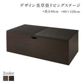 【楽天マラソン限定★最大1500円クーポン】リビング収納 チェスト キャビネット タンス テレビ台 国産 収納付きデザイン美草畳リビングステージ 畳ボックス収納 120×60cm ハイタイプ
