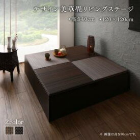 【楽天マラソン限定★最大1500円クーポン】リビング収納 チェスト キャビネット タンス テレビ台 国産 収納付きデザイン美草畳リビングステージ 畳ボックス収納 120×120cm ハイタイプ
