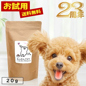 yɗȂNÂz񂳂Ղ20g p  Tvg hbOt[h Tv VjA V  hC Y F  y   |Cg  