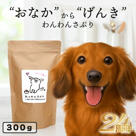 【国産無添加】 腸内環境 サプリメント ★犬用 わんわんさぷり 300g 送料無料 犬 おやつ 無添加 国産 ペット ドッグフード ドライ 改善 老犬 小型犬 高齢犬 シニア犬 皮膚 毛 目 軟便 クコの実 ゴジベリー ハトムギ