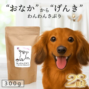 yYYz  Tvg p 񂳂Ղ 300g    Y Y ybg hbOt[h hC P V ^  VjA 畆    NR̎ 