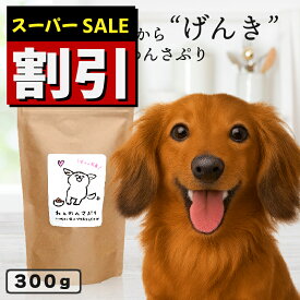 【スーパーSALE】【国産無添加】 腸内環境 サプリメント ★犬用 わんわんさぷり 300g 送料無料 犬 おやつ 無添加 国産 ペット ドッグフード ドライ 改善 老犬 小型犬 高齢犬 シニア犬 皮膚 毛 目 軟便 クコの実 ゴジベリー ハトムギ