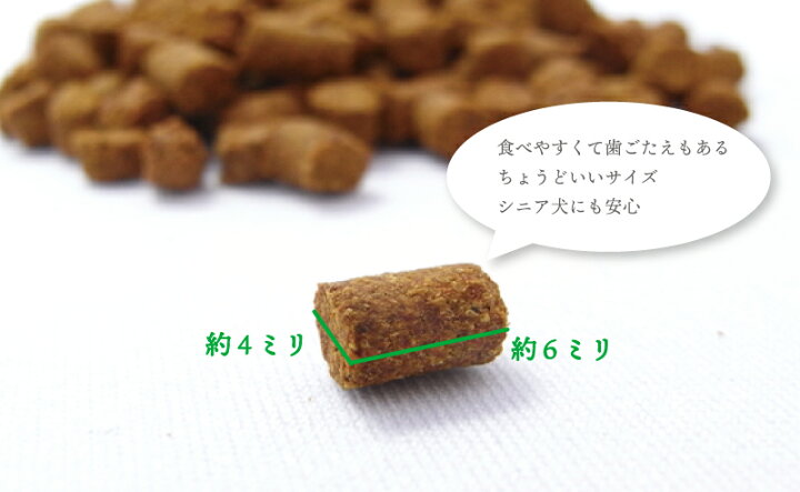 楽天市場 あす楽対応商品 無添加国産 腸内環境 改善 犬用 サプリメント わんわんさぷり 500g ドッグフード 犬 シニア 老犬 小型犬 軟便 下痢 改善 防止 犬用 栄養保管食 ペットフード アレルギー 口臭 目 皮膚炎 下痢止め 皮膚 送料無料 犬 サプリ Intention