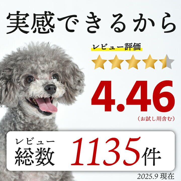 楽天市場 あす楽対応商品 無添加国産 腸内環境 改善 犬用 サプリメント わんわんさぷり 500g ドッグフード 犬 シニア 老犬 小型犬 軟便 下痢 改善 防止 犬用 栄養保管食 ペットフード アレルギー 口臭 目 皮膚炎 下痢止め 皮膚 送料無料 犬 サプリ Intention