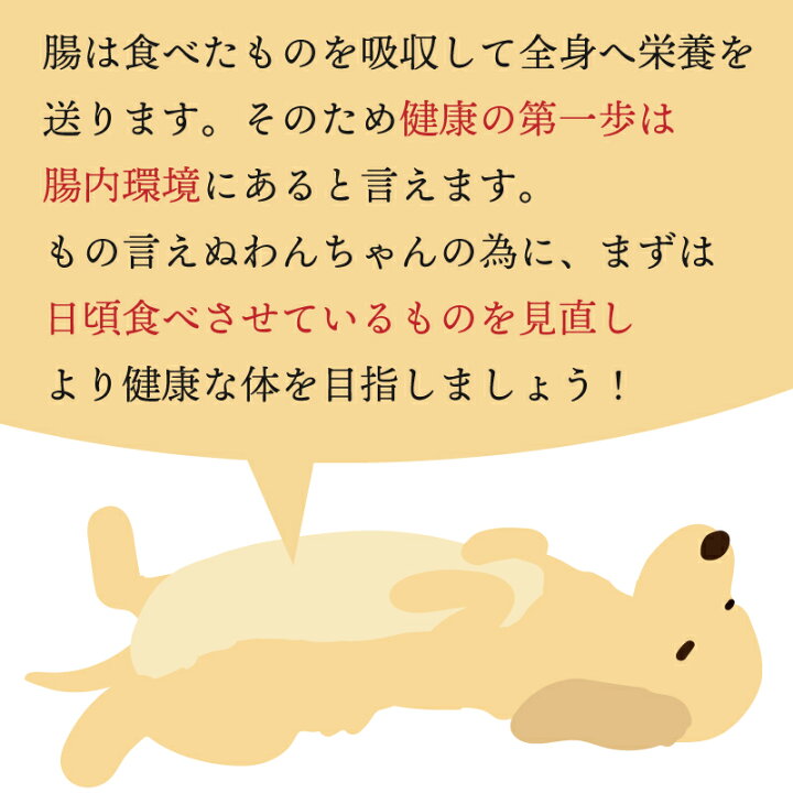 楽天市場 国産無添加 腸内環境 サプリメント 犬用 わんわんさぷり 300g 送料無料 犬 おやつ 無添加 国産 ペット ドッグフード ドライ アレルギー 改善 老犬 小型犬 高齢犬 シニア犬 下痢 皮膚 毛 目 口臭 体臭 軟便 クコの実 ゴジベリー ハトムギ Intention