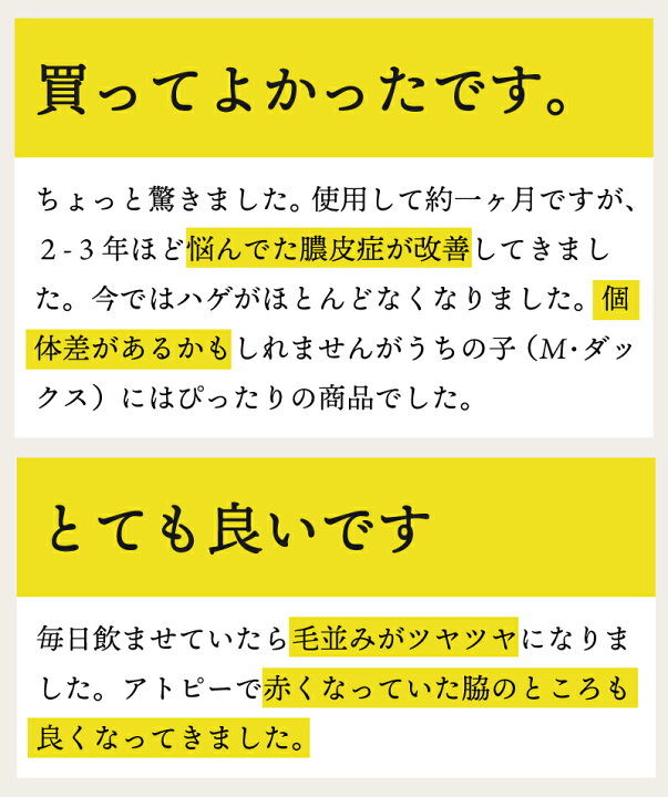 楽天市場 国産無添加 腸内環境 サプリメント 犬用 わんわんさぷり 300g 送料無料 犬 おやつ 無添加 国産 ペット ドッグフード ドライ アレルギー 改善 老犬 小型犬 高齢犬 シニア犬 下痢 皮膚 毛 目 口臭 体臭 軟便 クコの実 ゴジベリー ハトムギ Intention