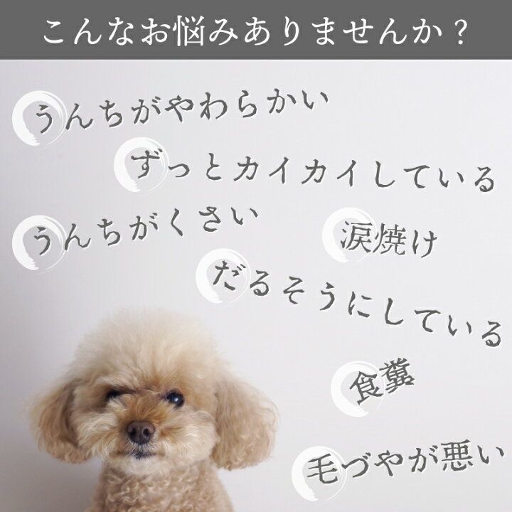 楽天市場 あす楽対応商品 無添加国産 腸内環境 改善 犬用 サプリメント わんわんさぷり 500g ドッグフード 犬 シニア 老犬 小型犬 軟便 下痢 改善 防止 犬用 栄養保管食 ペットフード アレルギー 口臭 目 皮膚炎 下痢止め 皮膚 送料無料 犬 サプリ Intention