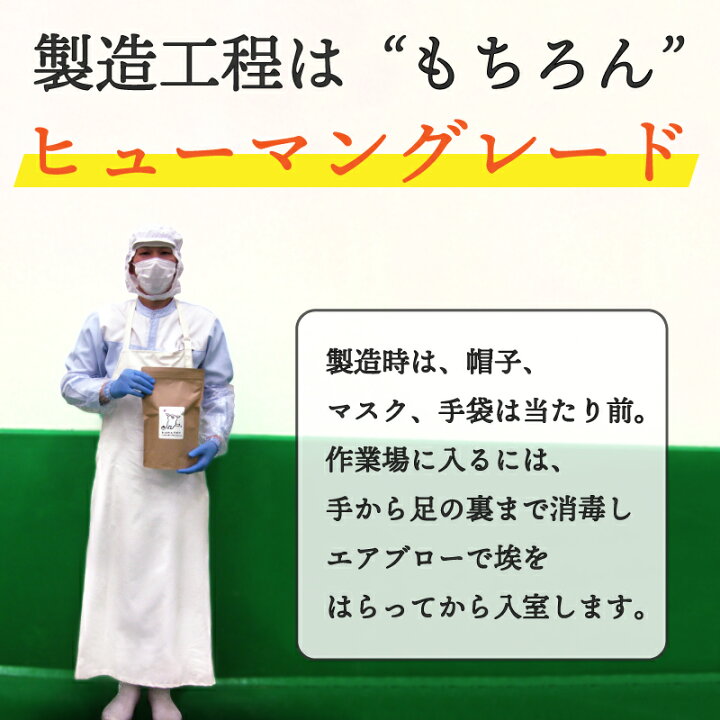 楽天市場 無添加国産 わんわんさぷり 150g 犬用 サプリメント 送料無料 ペットフード Dog 栄養保管食 漢方 ドッグフード アレルギー 防止 皮膚炎 対策 シニア 老犬 高齢犬 専用 ドライ 口臭 目 下痢 皮膚 痒み 軟便 健康管理 Intention