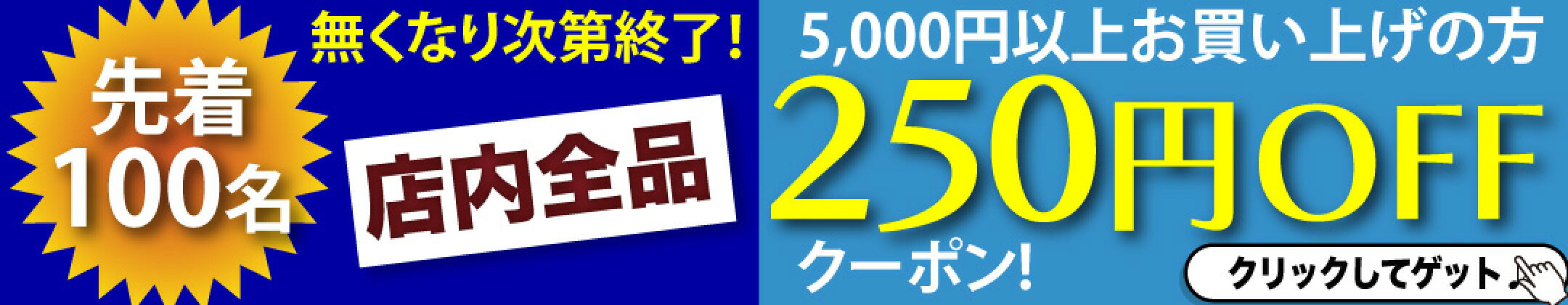 250円 OFF 5000円以上 100名