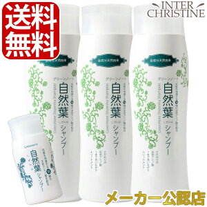 yRtVv[30mltzyZbgzO[m[g RtVv[@300ml×3{Zbg /[J[FX/Ki/