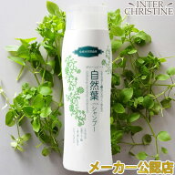 グリーンノート 自然葉シャンプー　300ml /メーカー公認店/正規品/