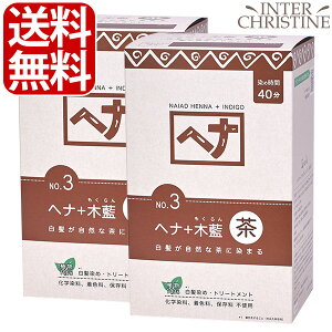 ő2000~N[|LyZbgziCA[h(naiad) wi+ؗ  No.3 p400g×2@  wiJ[ wAJ[ wA g[gg  N CfBS A100 NAIAD HENNA 