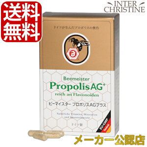 r[}CX^[@v|XAG+@120@(iA[K[h@v|X)