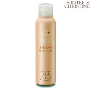 VVA@Xp[NOwbhWF 120g /[J[FX/Ki/