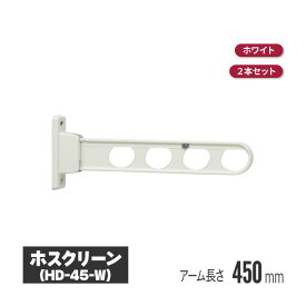 川口技研 ホスクリーン 壁付タイプ シルバー 2本セット hd-45-s | 物干し 屋外 ベランダ 取り付け 洗濯物干し バルコニー マンション 洗濯干し 物干 物干しアーム 竿掛け 物干し竿掛け 物干し竿 壁付 角度調整 角度調節 腰壁