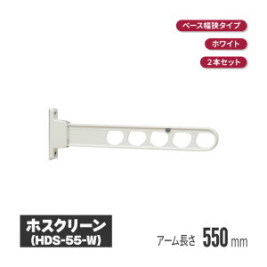 Z zXN[ Ǖtx[X^Cv zCg 2{Zbg hds-55-w |  O x_ t 󕨊 oRj[ }V 󊱂  A[ Ɗ| Ɗ|