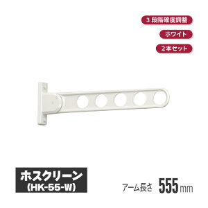 Z zXN[ ǃ^Cv CguY 2{Zbg hk-55-lb | x_   t t 󕨊 oRj[ }V  A[ Ɗ| 󊱂 Ɗ|