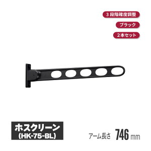 Z zXN[ ǃ^Cv ubN 2{Zbg hk-75-bl | x_   t t 󕨊 oRj[ }V  A[ Ɗ| 󊱂 Ɗ| Ǖt