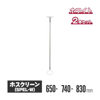 ホスクリーン 天井付の通販