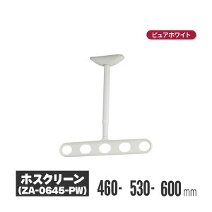 川口技研 ホスクリーン 軒天タイプ ステンカラー 2本セット za-0645-st | 物干し 屋外 ベランダ 取り付け 洗濯物干し バルコニー 洗濯干し 省スペース 物干 物干しアーム 竿掛け 物干し竿掛け 軒