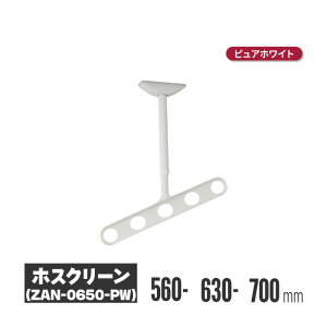 川口技研 ホスクリーン 軒天タイプ ステンカラー 2本セット zan-0650-st | 物干し 屋外 ベランダ 取り付け 洗濯物干し バルコニー 洗濯干し 省スペース 物干 物干しアーム 竿掛け 物干し竿掛け