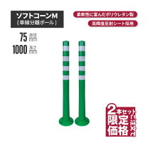 楽天市場】サンセルフ ソフトコーンの通販