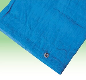 y@lElƎlz u[V[g #2000 3.6m×5.4m 5Zbg sawa-0014-2 | {V[g rj[V[g  V[g V[g H H y؍H ς݃V[g 䕗΍ Q΍ h