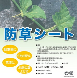 y@lElƎlz hV[g 1m×50m 1 sawa-0041 | h h[ V[g 悯  GV[g G V[g  V[g h΍ G΍ hlbg G} 