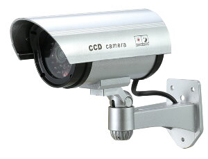 y@lElƎlzhƃ_~[JiԐFLED_Ń^Cvj | Ɨp dp Ɩp @l hƃJ _~[J hƑ΍  ItBX  h J LED _~[ hƃOb