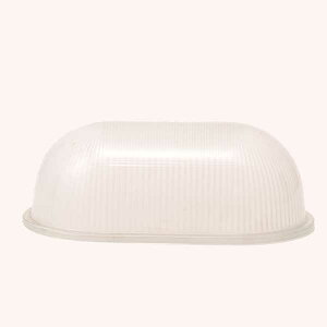 yS[LAChz pKX FRiNj BH2034^Cv | Ɩ p KX Ɏq v  KXVF[h VF[ĥ diy tH[ Ɩ  dC  Ce