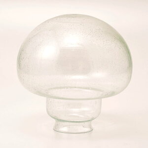 yS[LAChz pKX BU(A) P3001^Cv | Ɩ p KX Ɏq v  KXVF[h VF[ĥ diy tH[ Ɩ  dC CeACg C