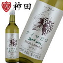五一ワイン ナイヤガラ 酸化防止剤無添加 日本 ワイン 長野 やや甘口 白ワイン 720ml