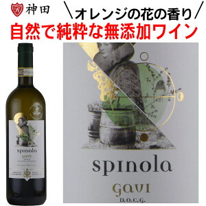 _h~ YC ^bT[ Xsm KB m[E\tBeB C C^A Re[[ I[KjbNC B[K Ε