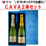 スパークリング ギフト 2本 セット スペイン カバ カヴァ cava スパークリングワイン ハウメ・セラ 辛口 …