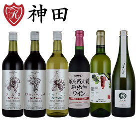 酸化防止剤 無添加 日本 ワイン 6本セット 赤3本 白2本 泡1本 送料無料