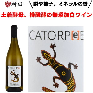 gDfBG Jgy Eu TEXt _h~ܖY I[KjbN tX  C Ε