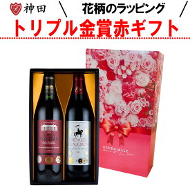 ワインギフト 送料無料 トリプル金賞 赤ワイン ギフトセット フランス ボルドー ワイン