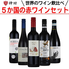 送料無料 ワインセット 世界5ヵ国 赤ワイン 飲み比べ チリ 南アフリカ 南アフリカ フランス スペイン5本 父の日