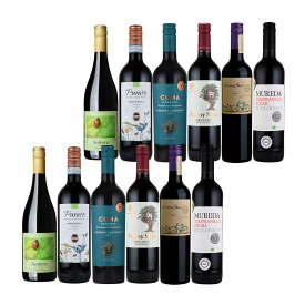 オーガニックワイン 送料無料 ワインセット 赤ワイン オーガニック 金賞 ワイン 入り イタリア スペイン 6本 父の日