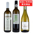 初回購入 限定 お試し セット 全て 酸化防止剤 保存料 無添加 ナチュラルワイン 白 ワインセット 3本 送料無料 無添加ワインリスト付き 750mlx3本 同時購入は3セットまで