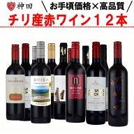 ワインセット 赤ワインセット 赤ワイン 12本セット チリワインセット 12本 チリワイン 父の日 送料無料