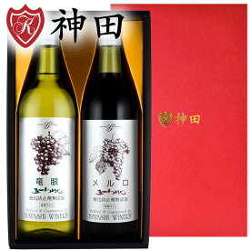 父の日 酸化防止剤無添加 五一ワイン 赤 白 ギフト メルロ 竜眼 日本ワイン 長野県 送料無料