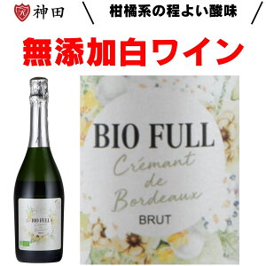 rIEt N}EfE{h[ ubg TEXt I[KjbN _h~ܖY