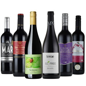 XyCCPiԈݔ6{Zbg  \G CGLXp[g ΍ ɂ Ε