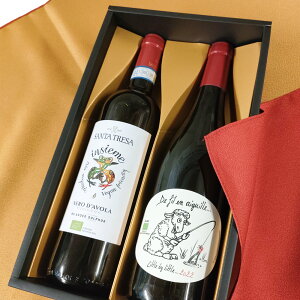 Ε v[g C~  C Mtg I[KjbN Zbg _h~ ۑ Y ̐ԃCZbg  SO2Y