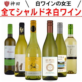 ワインセット 白ワインセット 全てシャルドネを使った白ワインセット 6本 シャルドネ 750ml 父の日 ワイン プレゼント 白ワイン 辛口 送料無料